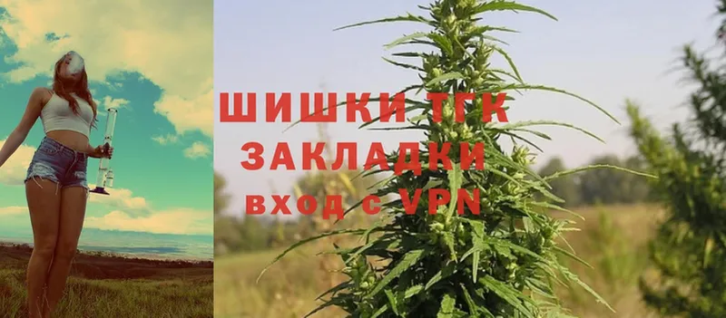 закладки  Канаш  Бошки марихуана SATIVA & INDICA 